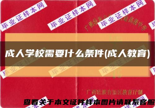 成人学校需要什么条件(成人教育)缩略图