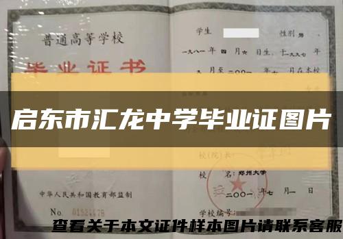 启东市汇龙中学毕业证图片缩略图