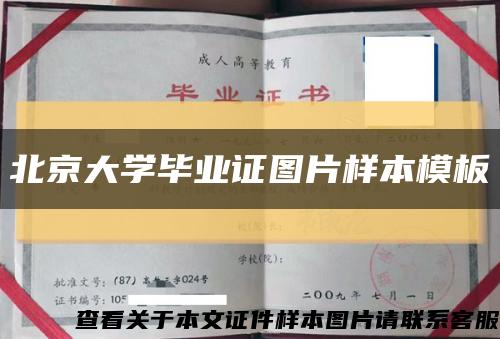 北京大学毕业证图片样本模板缩略图
