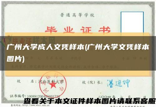 广州大学成人文凭样本(广州大学文凭样本图片)缩略图