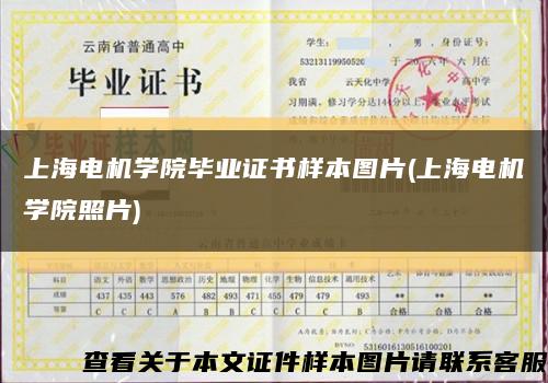 上海电机学院毕业证书样本图片(上海电机学院照片)缩略图