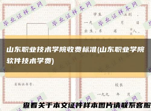 山东职业技术学院收费标准(山东职业学院软件技术学费)缩略图