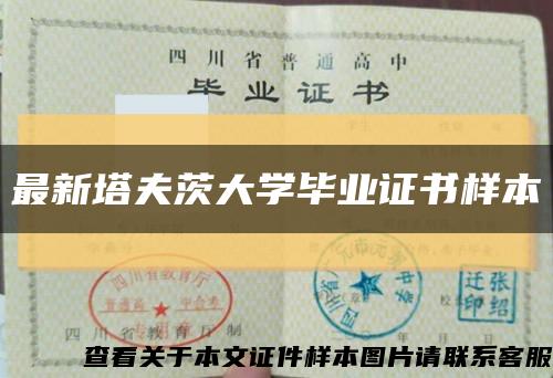 最新塔夫茨大学毕业证书样本缩略图