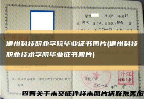 德州科技职业学院毕业证书图片(德州科技职业技术学院毕业证书图片)缩略图