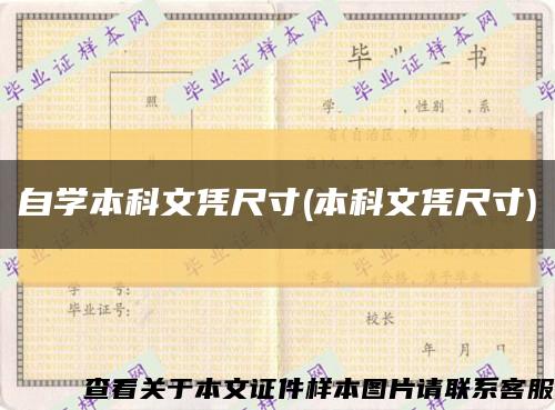 自学本科文凭尺寸(本科文凭尺寸)缩略图