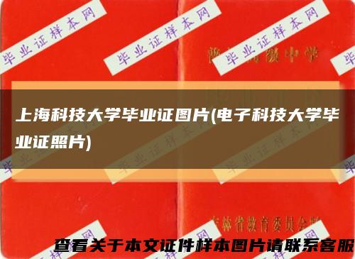 上海科技大学毕业证图片(电子科技大学毕业证照片)缩略图