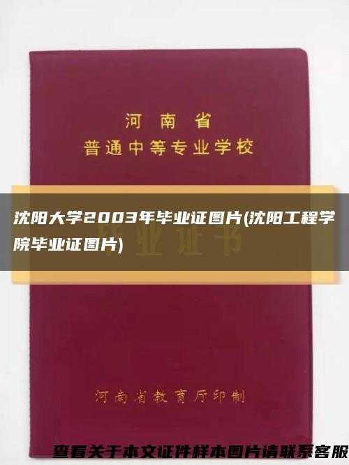 沈阳大学2003年毕业证图片(沈阳工程学院毕业证图片)缩略图