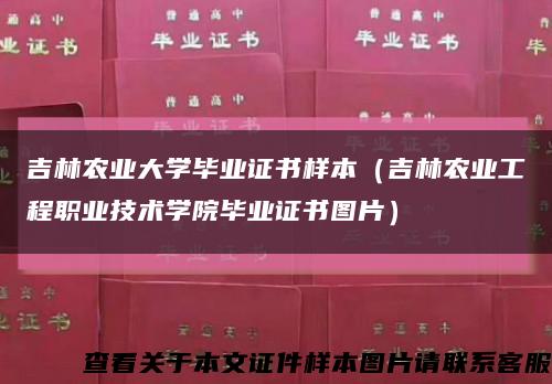 吉林农业大学毕业证书样本（吉林农业工程职业技术学院毕业证书图片）缩略图