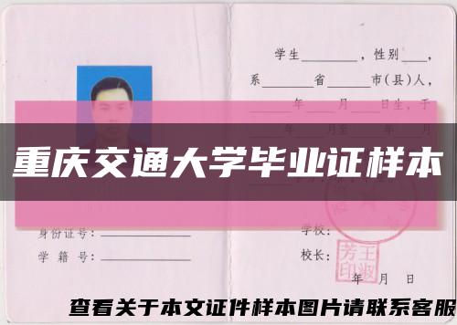 重庆交通大学毕业证样本缩略图