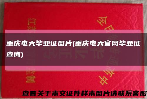 重庆电大毕业证图片(重庆电大官网毕业证查询)缩略图