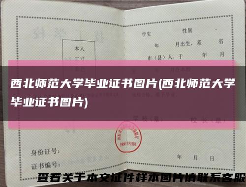 西北师范大学毕业证书图片(西北师范大学毕业证书图片)缩略图