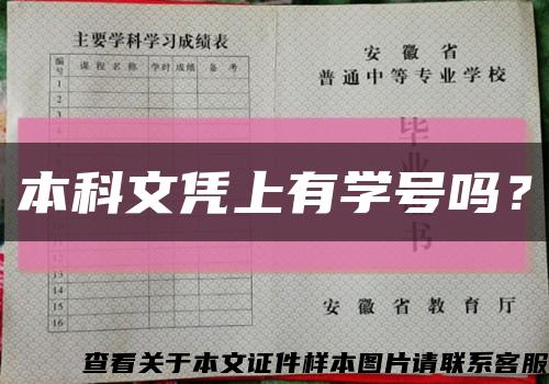 本科文凭上有学号吗？缩略图