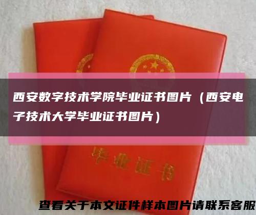 西安数字技术学院毕业证书图片（西安电子技术大学毕业证书图片）缩略图