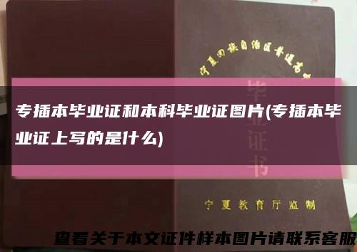 专插本毕业证和本科毕业证图片(专插本毕业证上写的是什么)缩略图