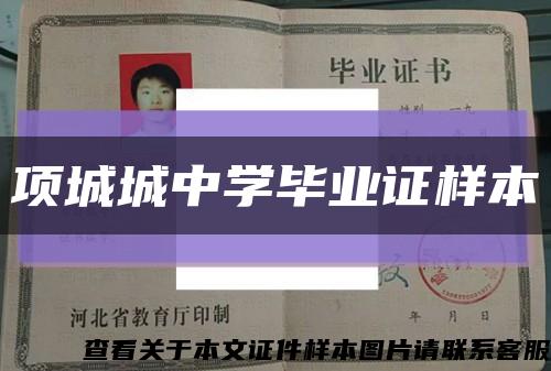 项城城中学毕业证样本缩略图