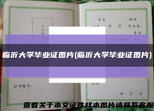 临沂大学毕业证图片(临沂大学毕业证图片)缩略图