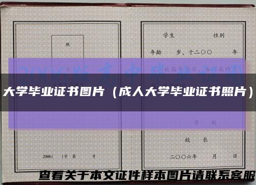 大学毕业证书图片（成人大学毕业证书照片）缩略图