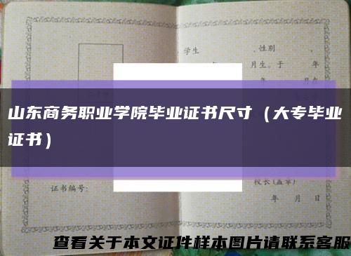 山东商务职业学院毕业证书尺寸（大专毕业证书）缩略图
