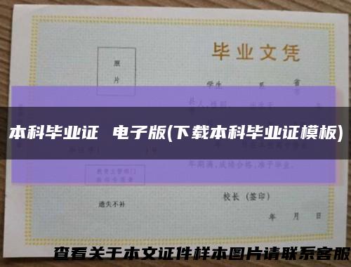 本科毕业证 电子版(下载本科毕业证模板)缩略图