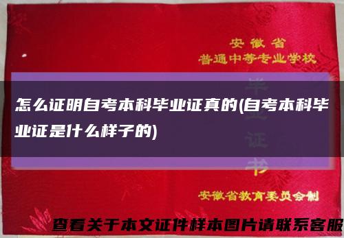 怎么证明自考本科毕业证真的(自考本科毕业证是什么样子的)缩略图