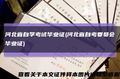 河北省自学考试毕业证(河北省自考委员会毕业证)缩略图