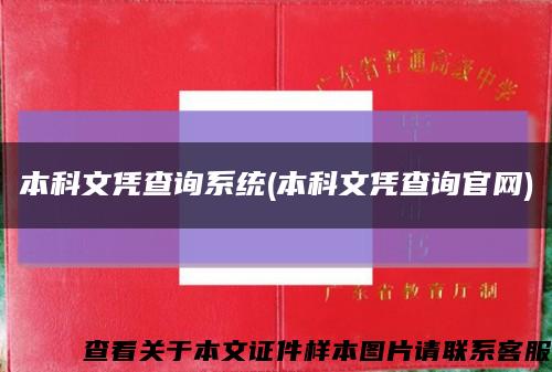 本科文凭查询系统(本科文凭查询官网)缩略图