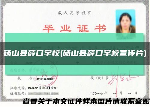 砀山县薛口学校(砀山县薛口学校宣传片)缩略图