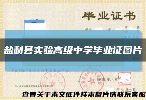 盐利县实验高级中学毕业证图片缩略图