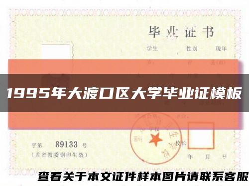 1995年大渡口区大学毕业证模板缩略图