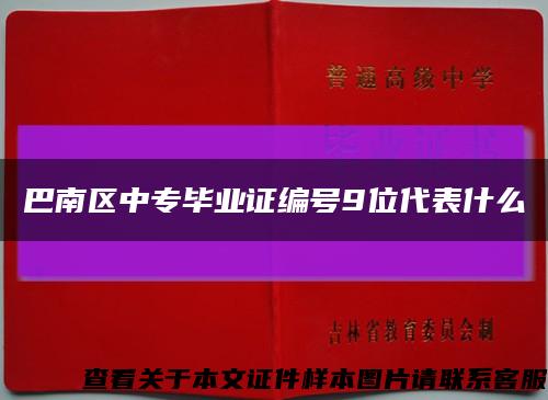 巴南区中专毕业证编号9位代表什么缩略图