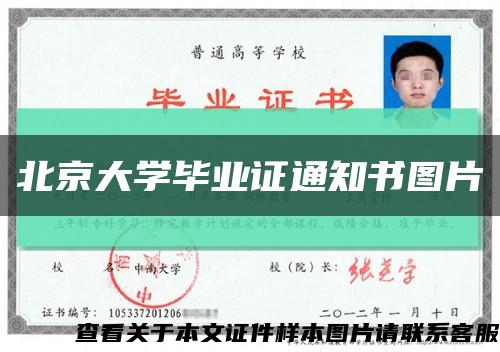 北京大学毕业证通知书图片缩略图
