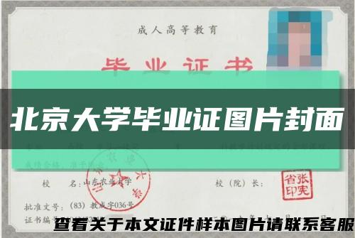 北京大学毕业证图片封面缩略图