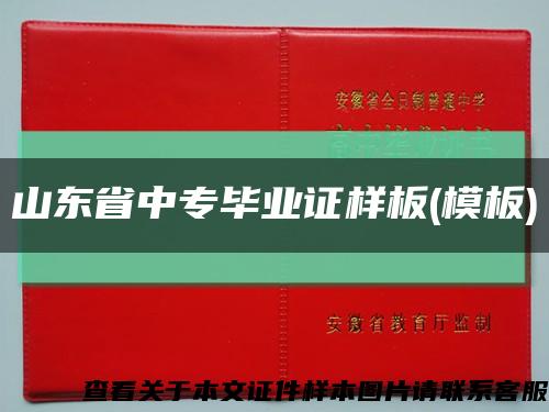 山东省中专毕业证样板(模板)缩略图