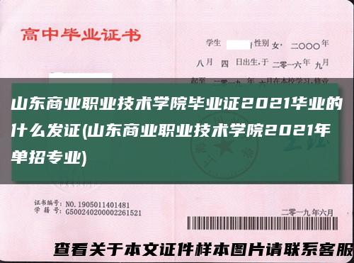 山东商业职业技术学院毕业证2021华业的什么发证(山东商业职业技术学院2021年单招专业)缩略图