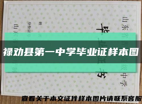 禄劝县第一中学毕业证样本图缩略图