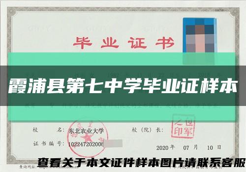 霞浦县第七中学毕业证样本缩略图