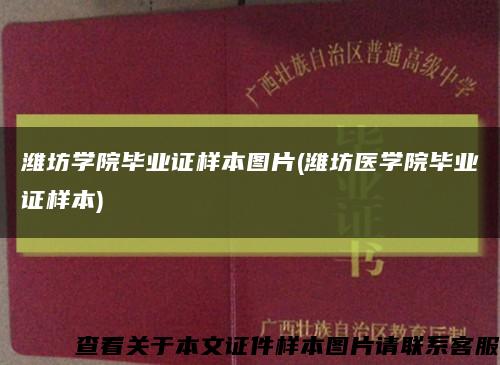 潍坊学院毕业证样本图片(潍坊医学院毕业证样本)缩略图