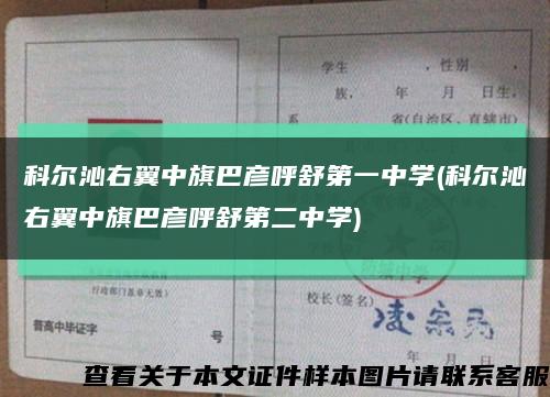科尔沁右翼中旗巴彦呼舒第一中学(科尔沁右翼中旗巴彦呼舒第二中学)缩略图