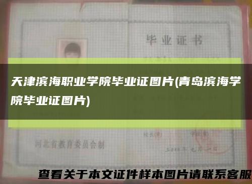 天津滨海职业学院毕业证图片(青岛滨海学院毕业证图片)缩略图