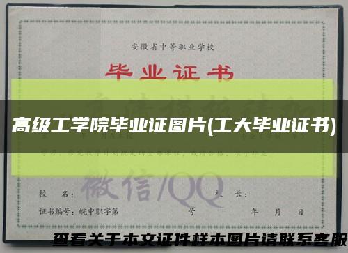 高级工学院毕业证图片(工大毕业证书)缩略图