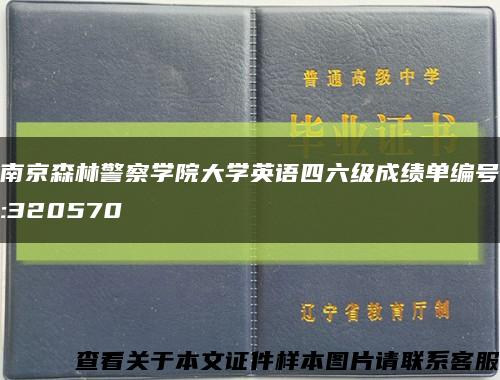 南京森林警察学院大学英语四六级成绩单编号:320570缩略图