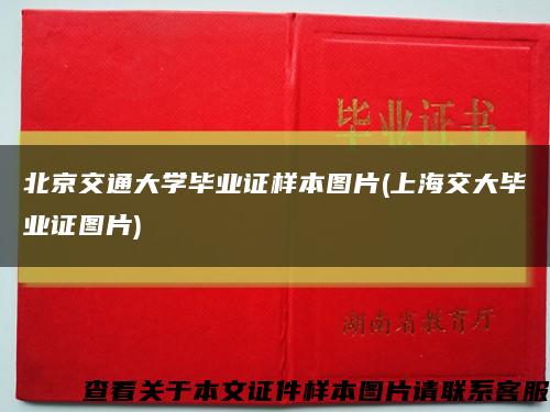 北京交通大学毕业证样本图片(上海交大毕业证图片)缩略图