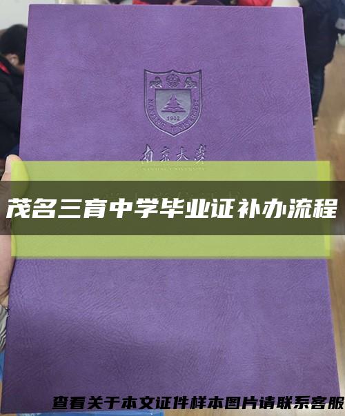 茂名三育中学毕业证补办流程缩略图