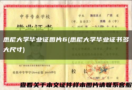 悉尼大学毕业证图片6(悉尼大学毕业证书多大尺寸)缩略图