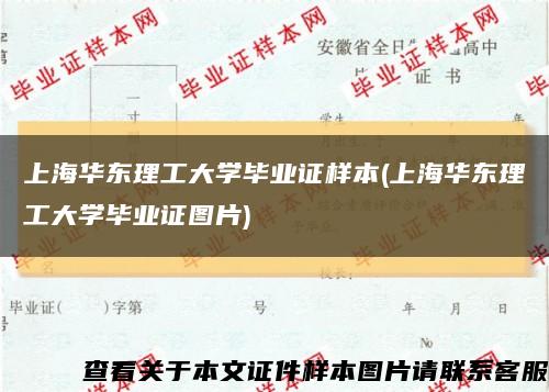 上海华东理工大学毕业证样本(上海华东理工大学毕业证图片)缩略图