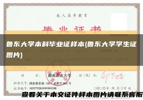 鲁东大学本科毕业证样本(鲁东大学学生证图片)缩略图