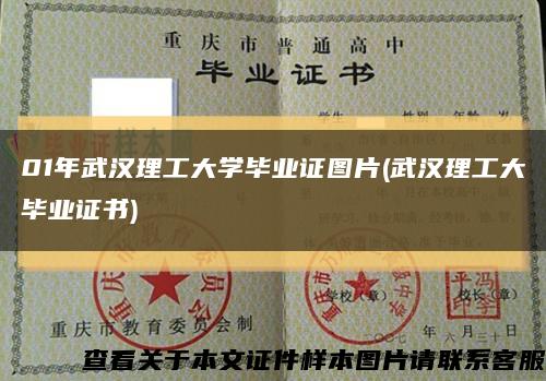 01年武汉理工大学毕业证图片(武汉理工大毕业证书)缩略图