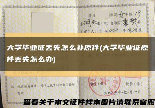 大学毕业证丢失怎么补原件(大学毕业证原件丢失怎么办)缩略图