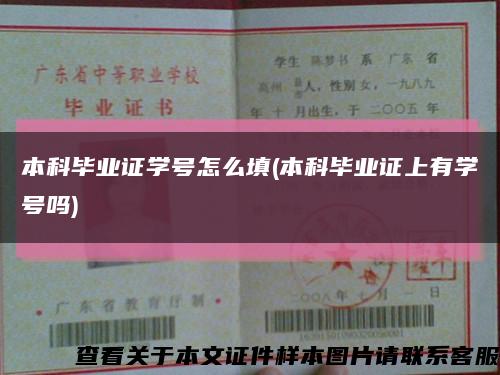 本科毕业证学号怎么填(本科毕业证上有学号吗)缩略图