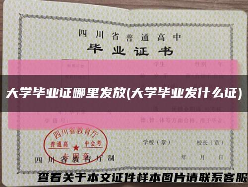 大学毕业证哪里发放(大学毕业发什么证)缩略图